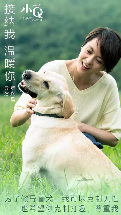 特拉帕尼音乐学院电子工程学位证书